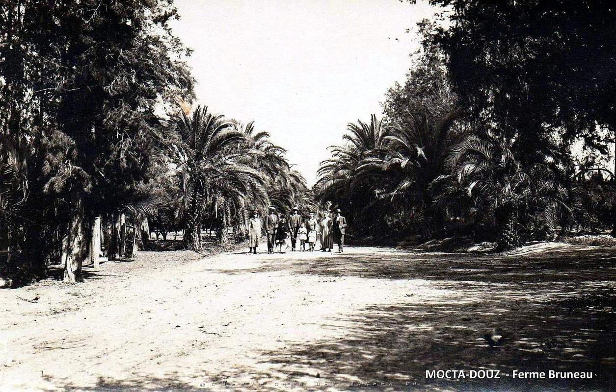 1185- Mocta Douz - La Ferme Bruneau.jpg